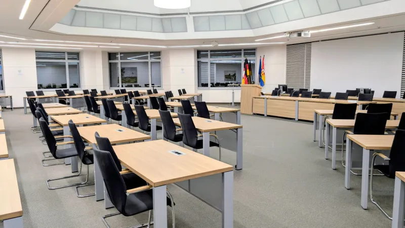 The Last One Standing: Why Revolutionary Councils Are Really Elimination Tournaments